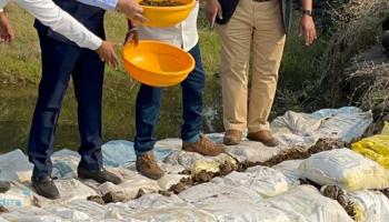 ग्रामपंचायत हमरापुर येथील करंजपाडा येथे वनराई बंधारा बांधण्यात आला 