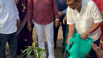 ग्रामपंचायत हमरापुर येथील करंजपाडा वृक्ष लागवड करण्यात आली 