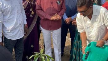 ग्रामपंचायत हमरापुर येथील करंजपाडा वृक्ष लागवड करण्यात आली