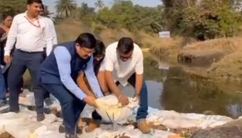 ग्रामपंचायत हमरापुर येथील करंजपाडा येथे वनराई बंधारा बांधण्यात आला